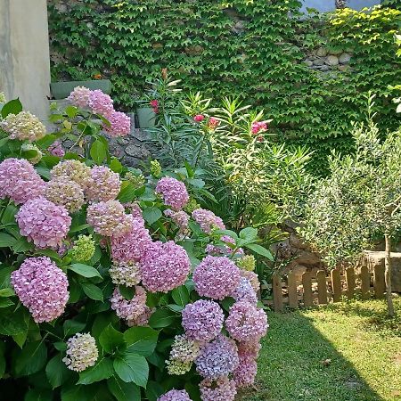 Les Glycines Bed & Breakfast Le Vigan  Exterior foto
