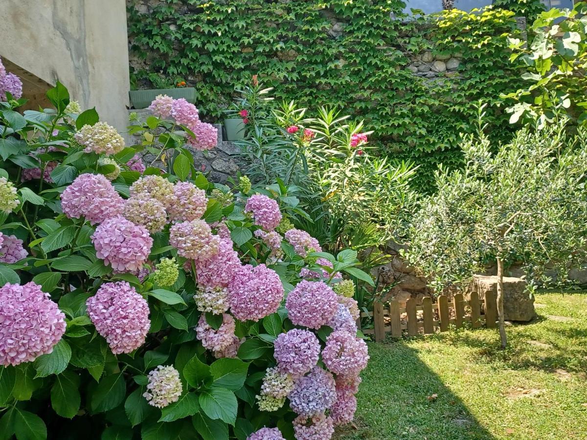 Les Glycines Bed & Breakfast Le Vigan  Exterior foto